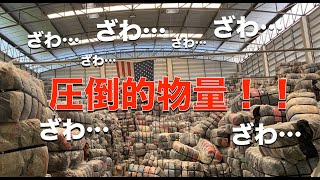 【古着転売】タイで古着のベールを開封してみた！！タイ旅行編！