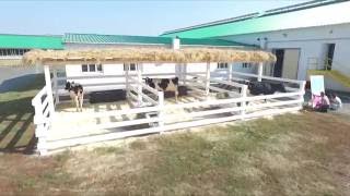 XIV Всероссийский конкурс среди операторов по искусственному осеменению крупного рогатого скота.