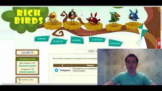 rich-birds (ПТИЧКИ РИЧ БЕРДС)ОБЗОР, ХАЛЯВНЫЙ ПРОЕКТ, ДОЛГО СРОК, БОНУСЫ