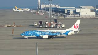 日本トランスオーシャン航空 ジンベエジェット 45便 沖縄(那覇)行き 中部国際空港から離陸
