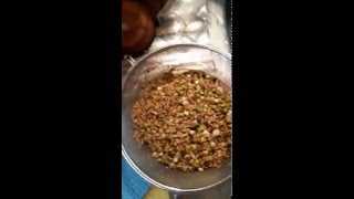 Пророст для птиц , готовим в сите, промываем правильно