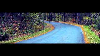 PIRITA,KLOOSTRIMETSA,PIRITA JÕGI (ANAMORPHIC TEST)