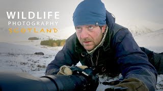 PHOTOGRAPHING MOUNTAIN HARES part 2 | Wildlife photography in Scotland - Behind the scenes vlog
