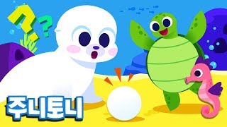 누구의 알일까 | 알을 낳는 동물 누굴까요 | 해마, 가재, 고래, 바다거북 | 바다동물동요 |  주니토니 by 키즈캐슬