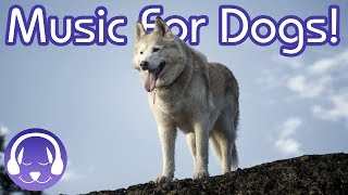 Therapy for Dogs: 6 Hours of Deep, Relaxing Music for Your Canine!