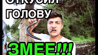 VLOG: ОТКУСИЛ ГОЛОВУ ЗМЕЕ. ВЫЖИВАНИЕ В ЛЕСУ КАРПАТ С МАРТЫНЕНКО И БАГРЕЕВЫМ