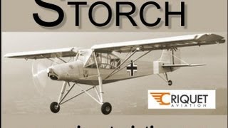 Storch, Criquet Storch lightsport aircraft, experimental amateurbuilt light sport aircraft.