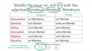 2nd Declension Masculine Latin Adjectives