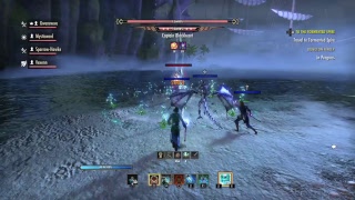 The Warden Healer Build: Evergreen