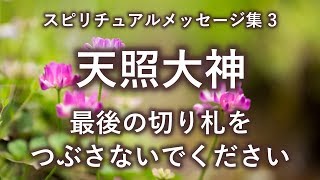 天照大神「最後の切り札をつぶさないでください」