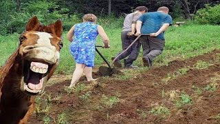 мотоблок  тянет в сторону