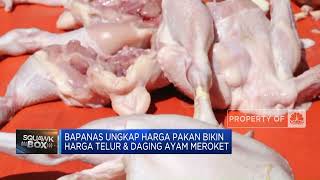 Bapanas Janji Seimbangkan Harga Telur & Daging Ayam
