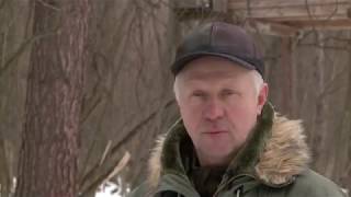 Домашняя ферма. Дикие животные (косули, лани)