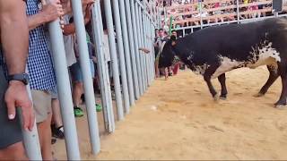 5/8.DENIA.G.LA.PALOMA.08.07.2019 TAUROEMISION EN DIRECTO Y VIDEOJUEGO EN LA DESCRIPCIÓN ENLACE