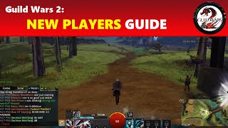 Guild Wars 2: New Players Beginners' Guide │ Playing the Game & Getting to Level 80