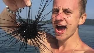 Камбоджа. Сиануквиль. Кушаем морского ежа