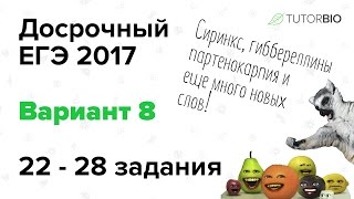Досрочный ЕГЭ по биологии 2017. Вариант 8 (22-28 задания). Видеообзор ЕГЭ