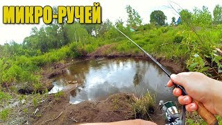 Сколько там голодных ртов?! Микро-ручей! Рыбалка на спиннинг там, где и воды то почти нет!