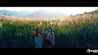 [空拍]-女孩漫步之三角埔芒草花