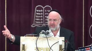 פרשת בא תשע"ח - הרב ברוך רוזנבלום
