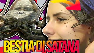 Accudire una BESTIA DI SATANA - challenge persa?!