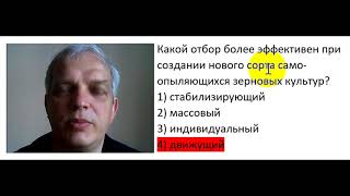 Какой отбор более эффективен при создании нового сорта самоопыляющихся зерновых культур?