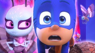 PJ Masks em Português | Melhores Momentos do Menino Gato | HD | Desenhos Animados