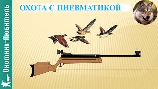 Охота с пневматикой! Можно ли?
