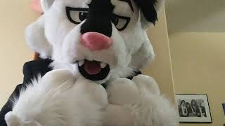 How I Found The Furry Fandom (ASMR)