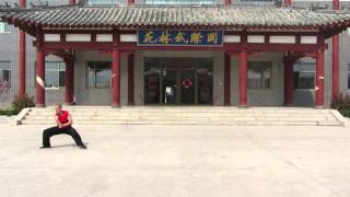 Tongbai Fist Form, Qufu Shaolin Kungfu School, China