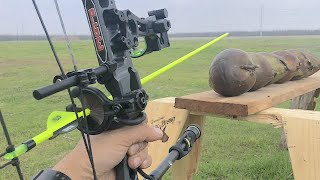 fresh coconut vs arrows