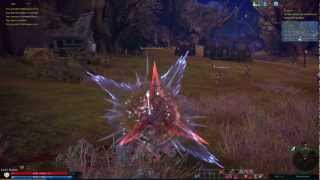 TERA - Level 25 Castanic Archer Combat