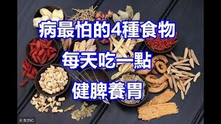 病最怕的4種食物，每天吃一點，健脾養胃