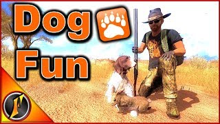 Fox & Euro Rabbit Hunt | theHunter Classic 2018
