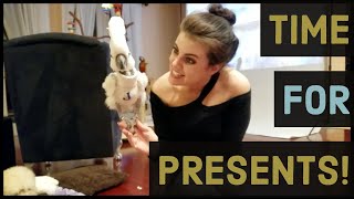 My Parrots and Dogs Opening Christmas Presents (All My Pets)