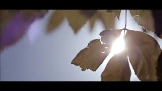 Видеовизитка «Вице-мисс Президентская Академия - 2014» Александра Хаммуд #StudioSatma