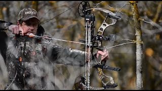 Hoyt Ignite