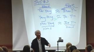 Balance Method by Dr. Richard Tan for Elbow Pain -- Online Acupuncture CEU