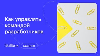 Как построить карьеру в IT с нуля? Интенсив по IT