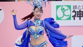 ピンクと黄の花の衣装で大人気のダンサーさんも!【Escola De Samba KOBECCO】神戸まつり2019!長田フェスティバル