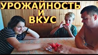 10 СОРТОВ наших ТОМАТОВ, ОПИСАНИЕ, ДЕГУСТАЦИЯ. Ленинградская область.