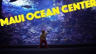 Maui Ocean Center - The Hawaiian Aquarium
