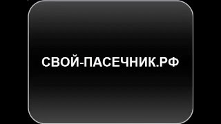 ▶КАК ПРОВЕРИТЬ КАЧЕСТВО МЕД на НАТУРАЛЬНОСТЬ #КакПроверитьМёд