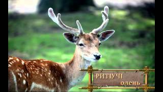 Авар мацIалда рухIчIаголъабазде цIарал