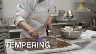 Chocolate: Bean-to-Bar in 60 Seconds
