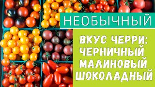 ТАКОГО ВЫ ЕЩЁ НЕ ВИДЕЛИ!!! СУПЕРУРОЖАЙНЫЕ и ОЧЕНЬ ПОЛЕЗНЫЕ ТОМАТЫ!!!