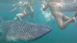 Прыгнули к АКУЛАМ В ГОСТИ! Что из этого получилось? Подводная съемка