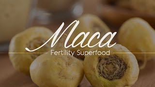 Maca - Fertility Superfood | Fertility Maca