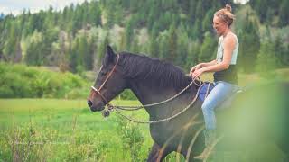 Whole Horse | Building community with our horses with Equine Researcher Emily Kieson