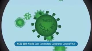 How to prevent against corona virus